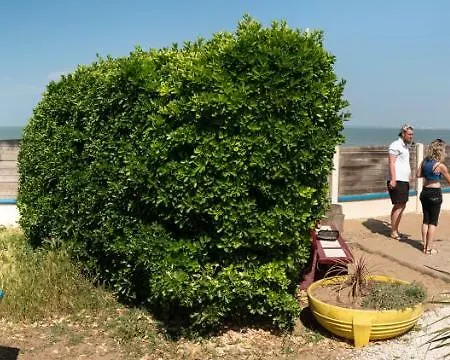 Borddemer Hotellerie De Plein Air Campsite